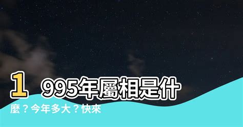 1995山頭火|1995年出生是什麼命？